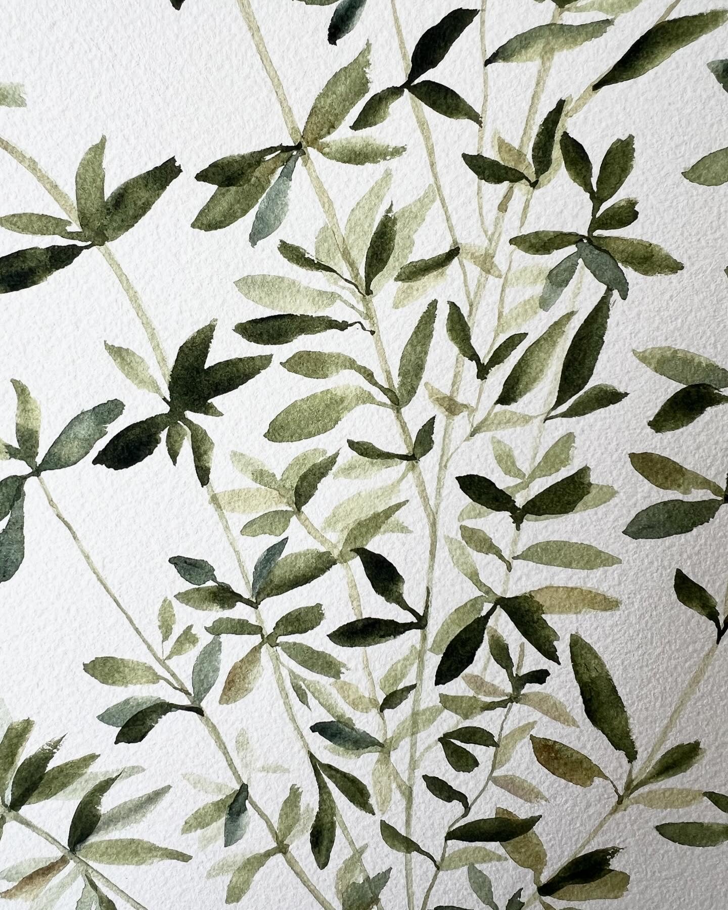 Colección Botanicals