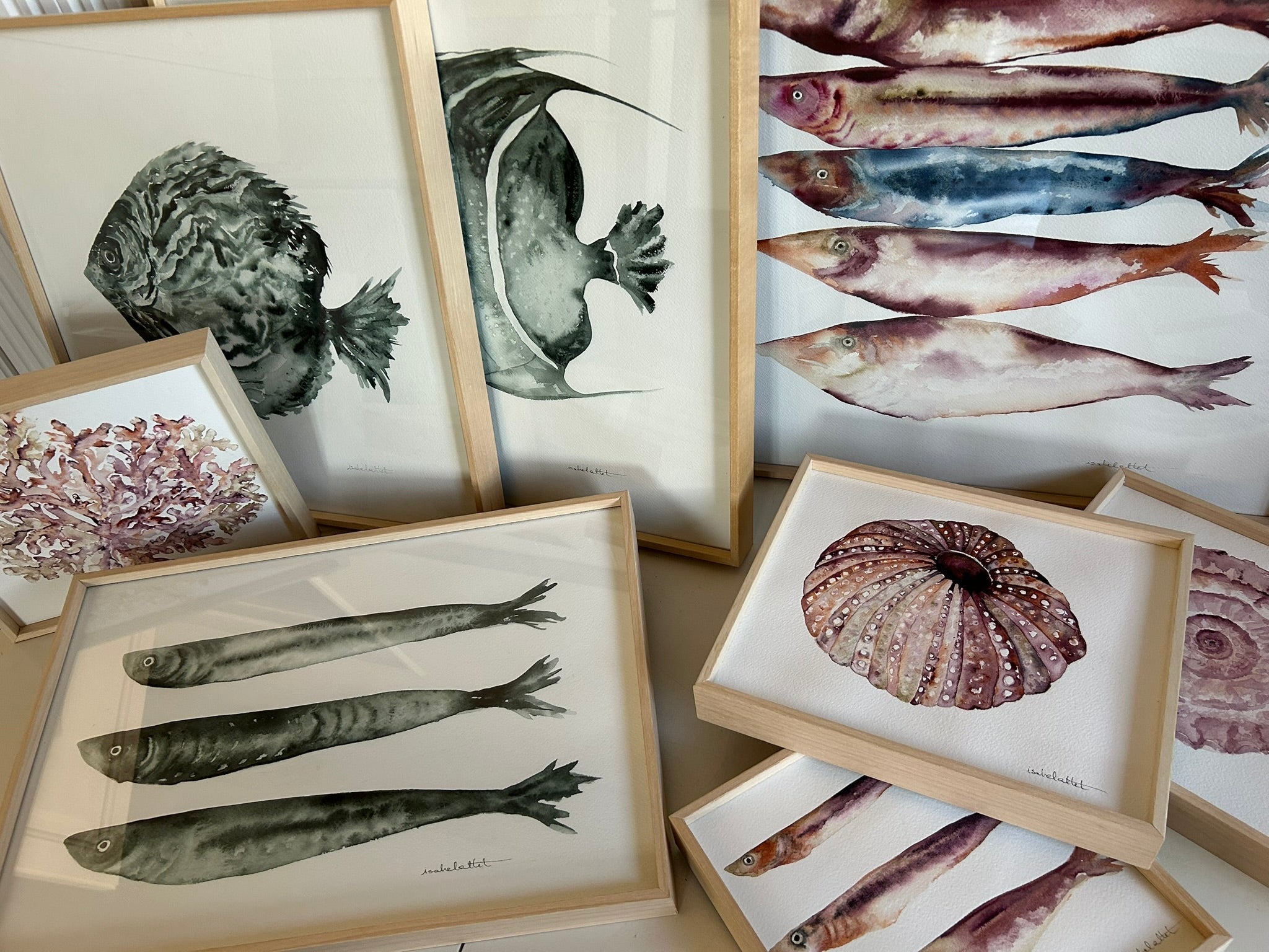 Colección Sea