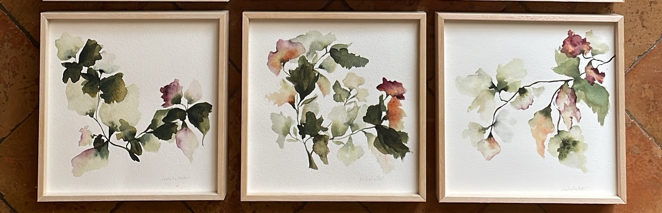 Colección Bloom