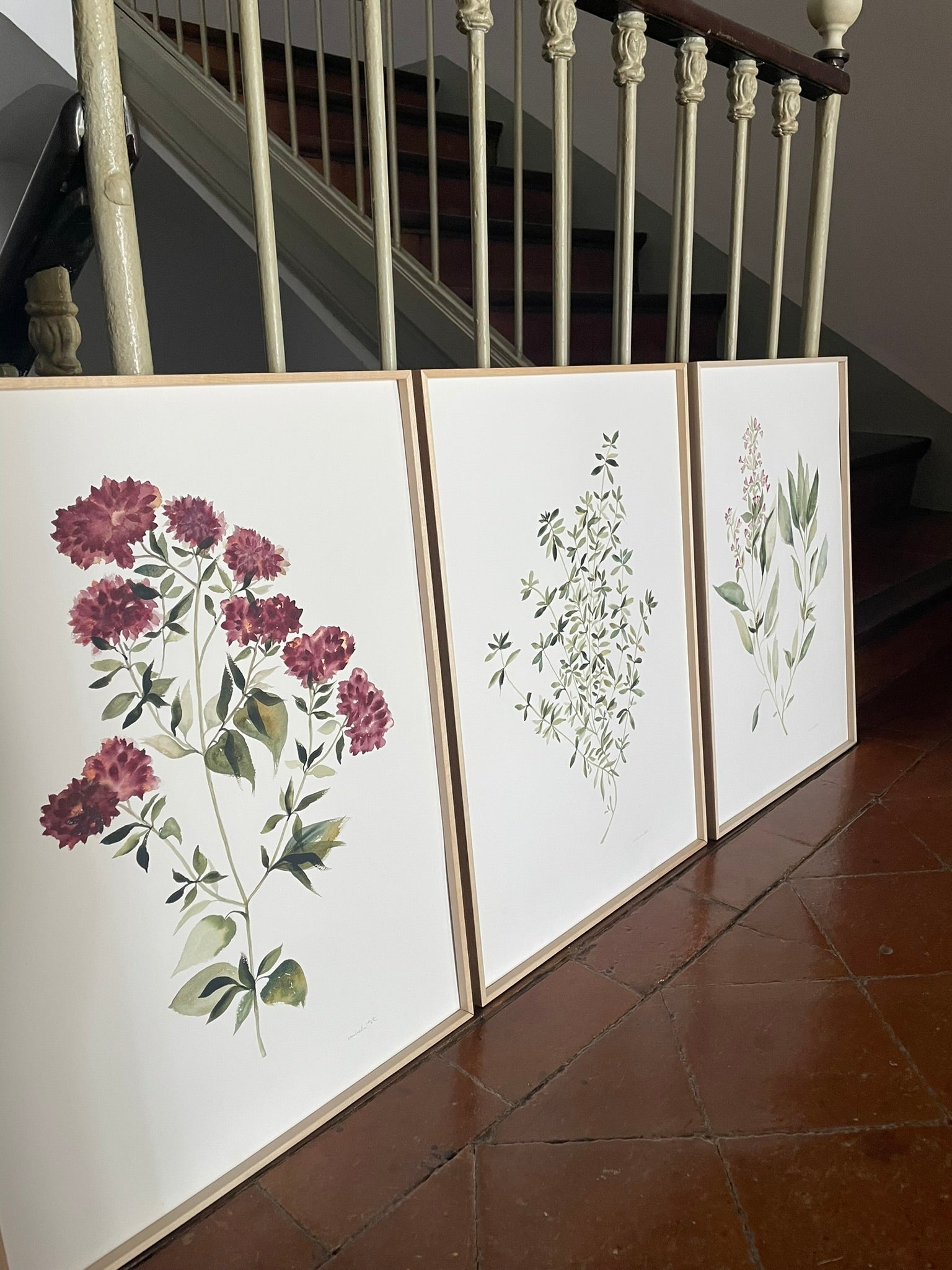 Conjunto de cuadros botánicos, pensados para decorar estancias con calma. Cuadros originales, pintados a mano por Isabel Altet
