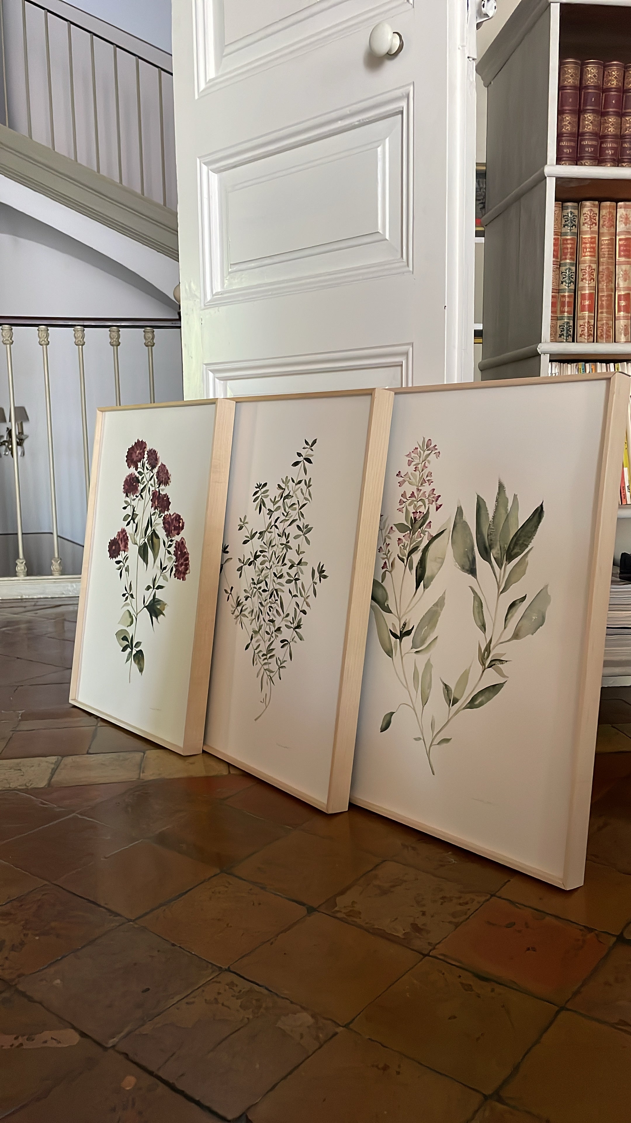 Tres cuadros decorativos botánicos para el salón, el dormitorio, el comedor o la cocina. Pintados a mano con acuarela, por la artista Isabel Altet