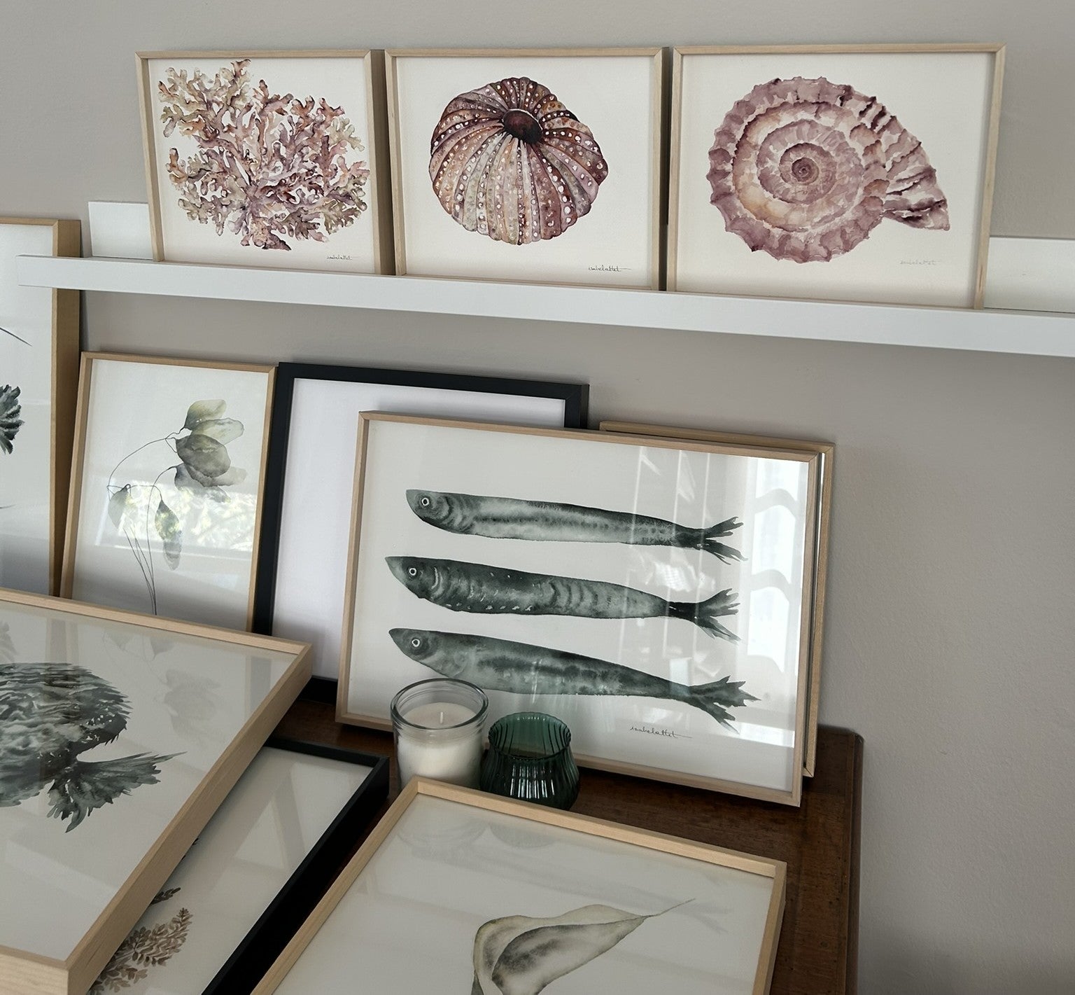 Composición de cuadros para decorar apartamentos de playa, erizos, corales, caracolas, peces, sardinas... todo obras originales de autor
