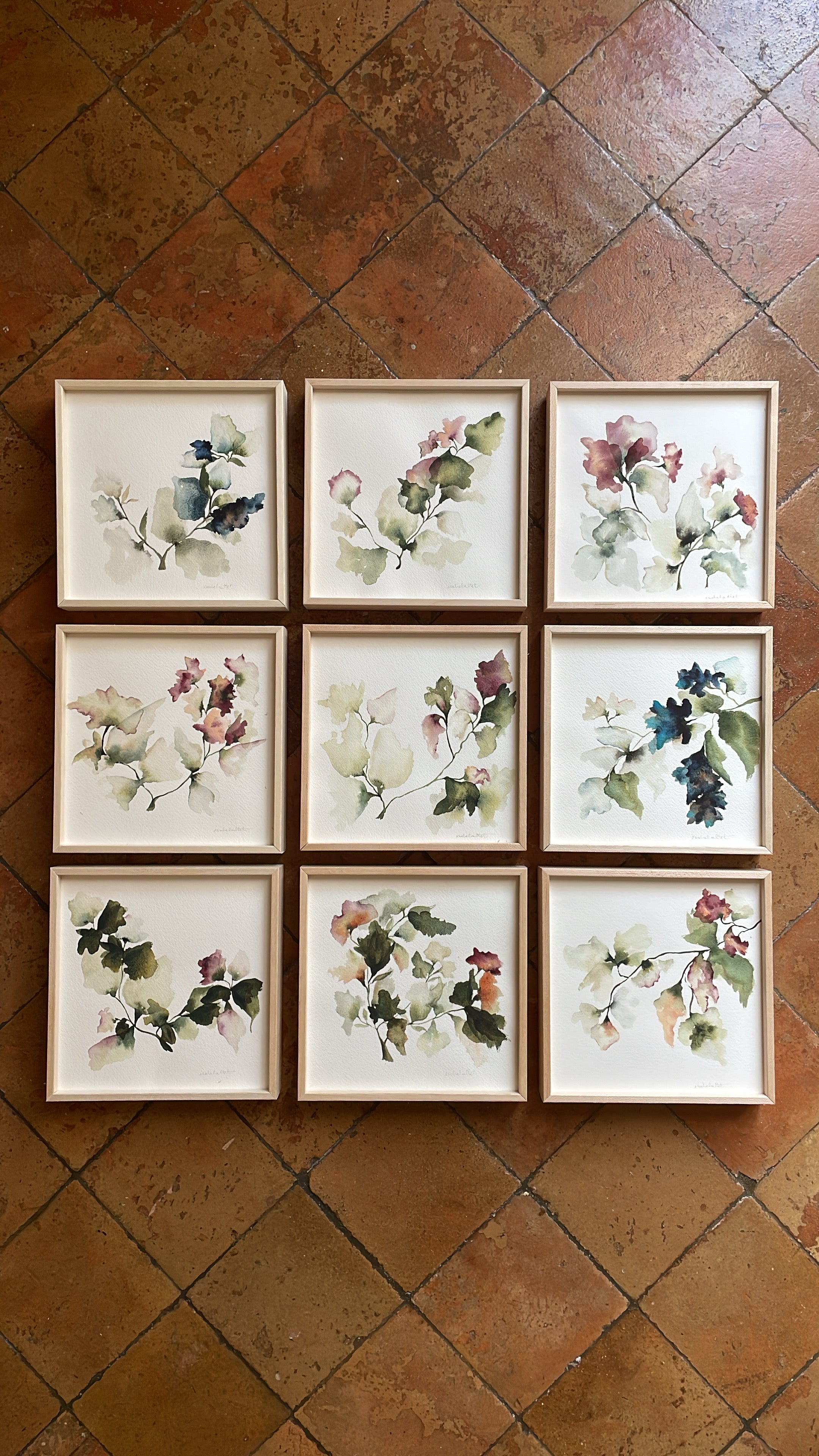 Conjunto de cuadros botánicos pintados a mano por Isabel Altet para decorar estanterías o rincones con encanto