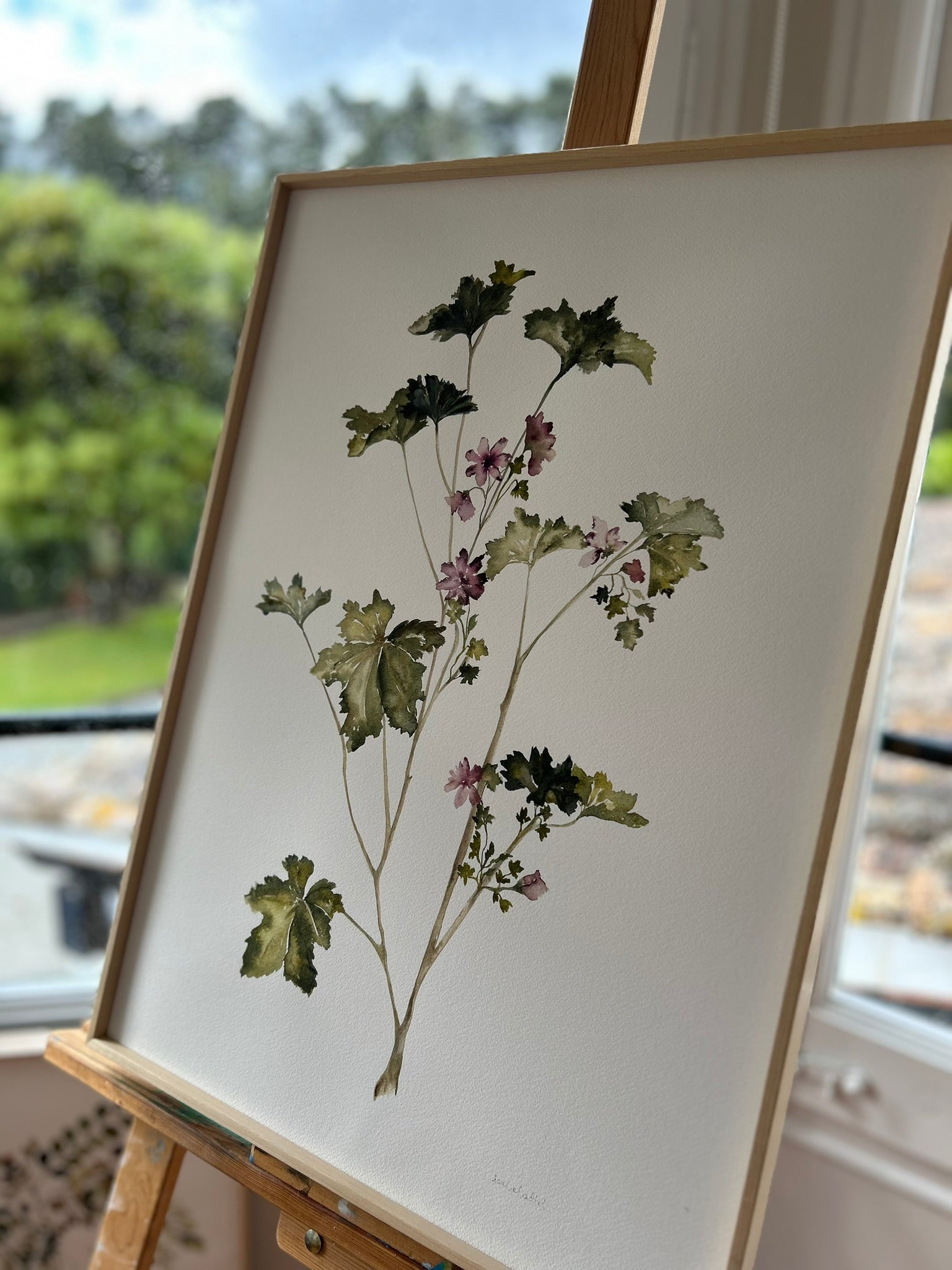 Cuadro herbolario, para decorar dormitorios de estilo romántico-rústico, pintado a mano en acuarela por Isabel Altet