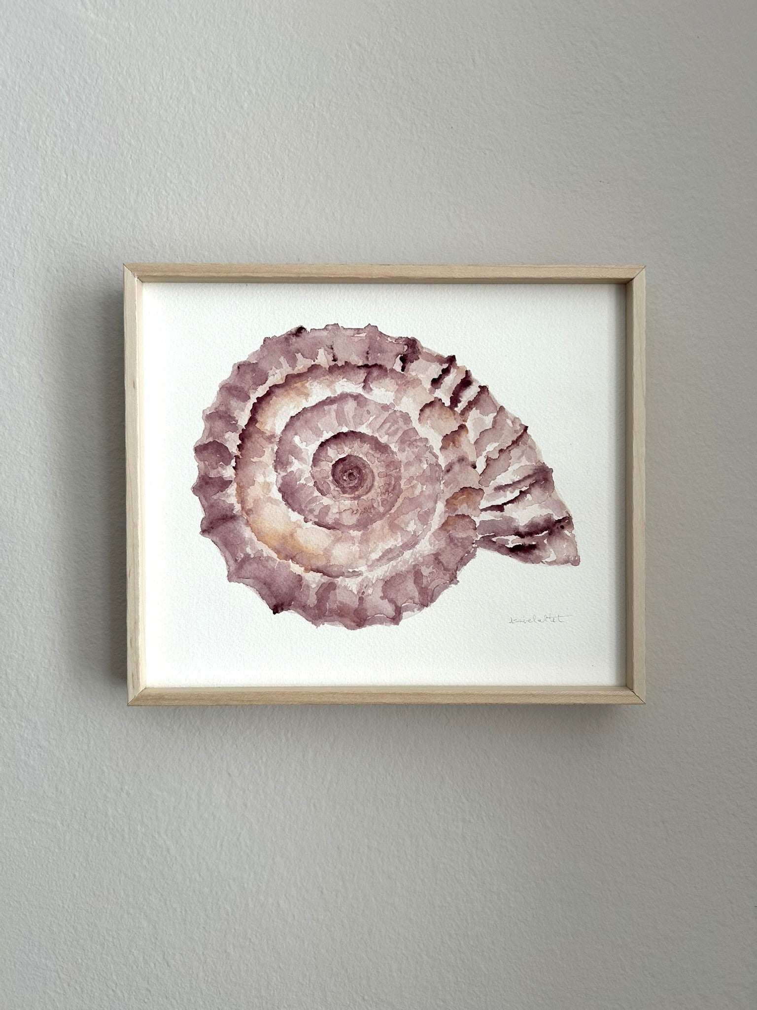 Cuadro decorativo caracola de mar para decorar dormitorios, baños, saloles, pasillos de una casa de playa. Es una obra original, pintada a mano por la artista Isabel Altet