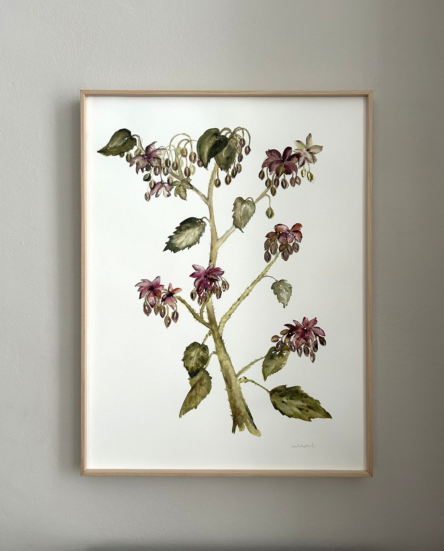 Cuadro botánico en tonos borgoña, verde, es una flor silvestre, de la umbría del bosque. Pintado a mano con acuarela, obra original para decorar salones o dormitorios.