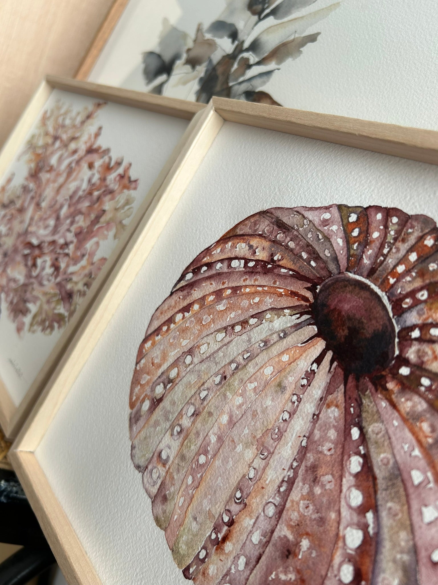 Cuadro erizo de mar para apartamento playa, en tono rosa empolvado, pintado a mano en acuarela por la artista Isabel Altet