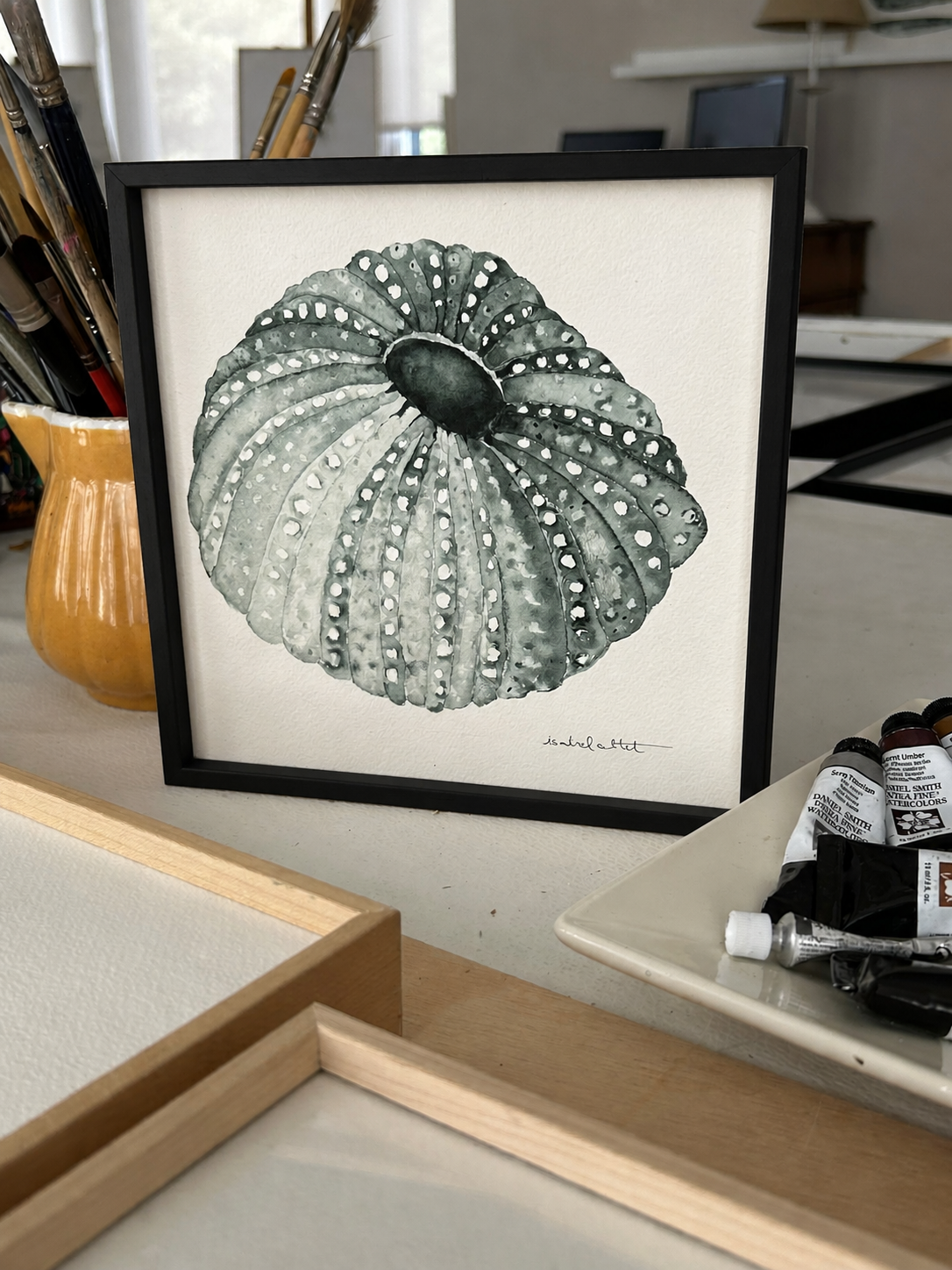 Cuadro erizo de mar para baño apartamento playa enmarcado en negro. Obra original de Isabel Altet