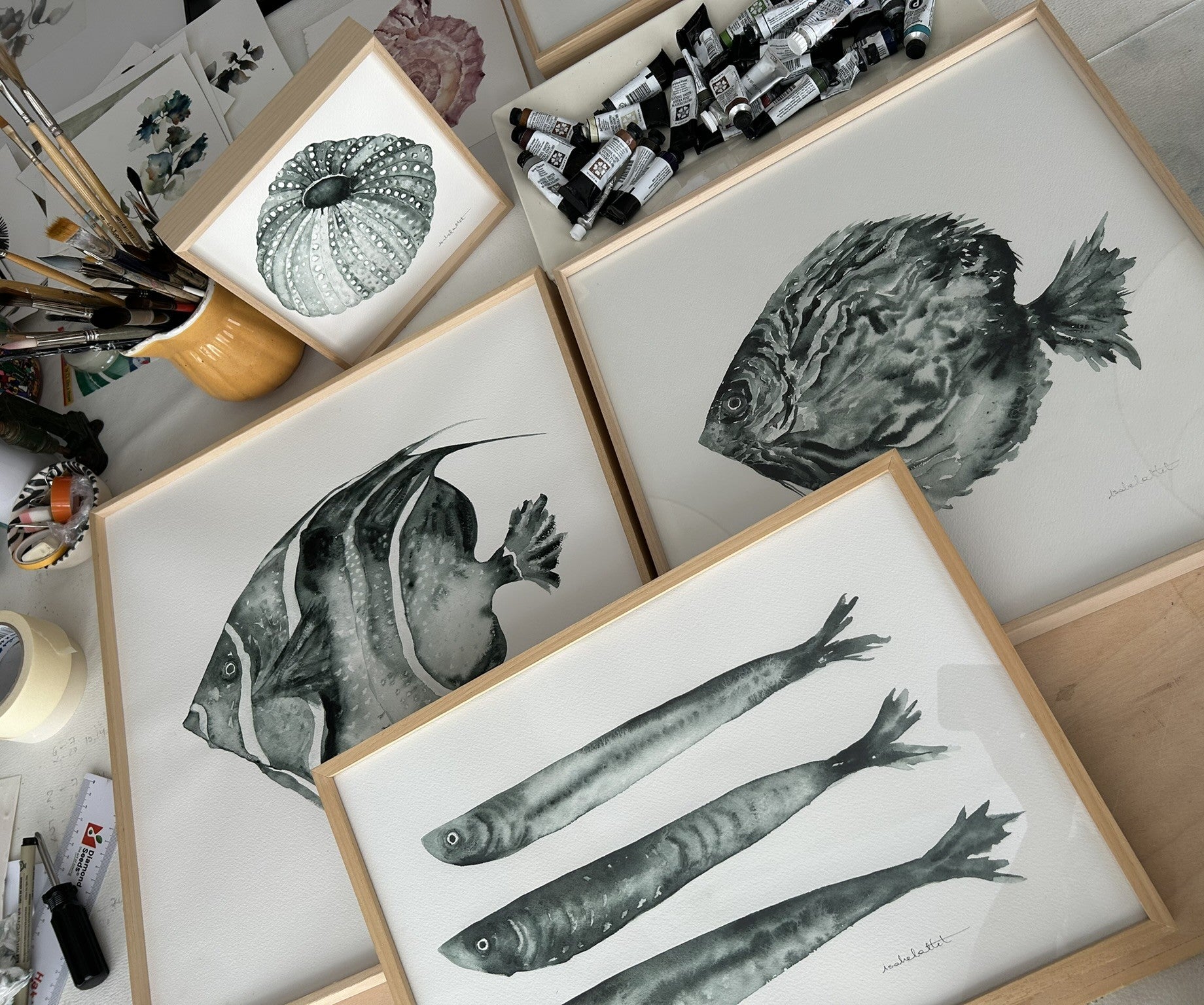 Cuadros con peces, sardinas, peces marinos para decorar apartamentos. Pensados para  decorar el salón, la entrada, el dormitorio o el pasillo. Cuadros pintados con acuarela de la artista Isabel Altet