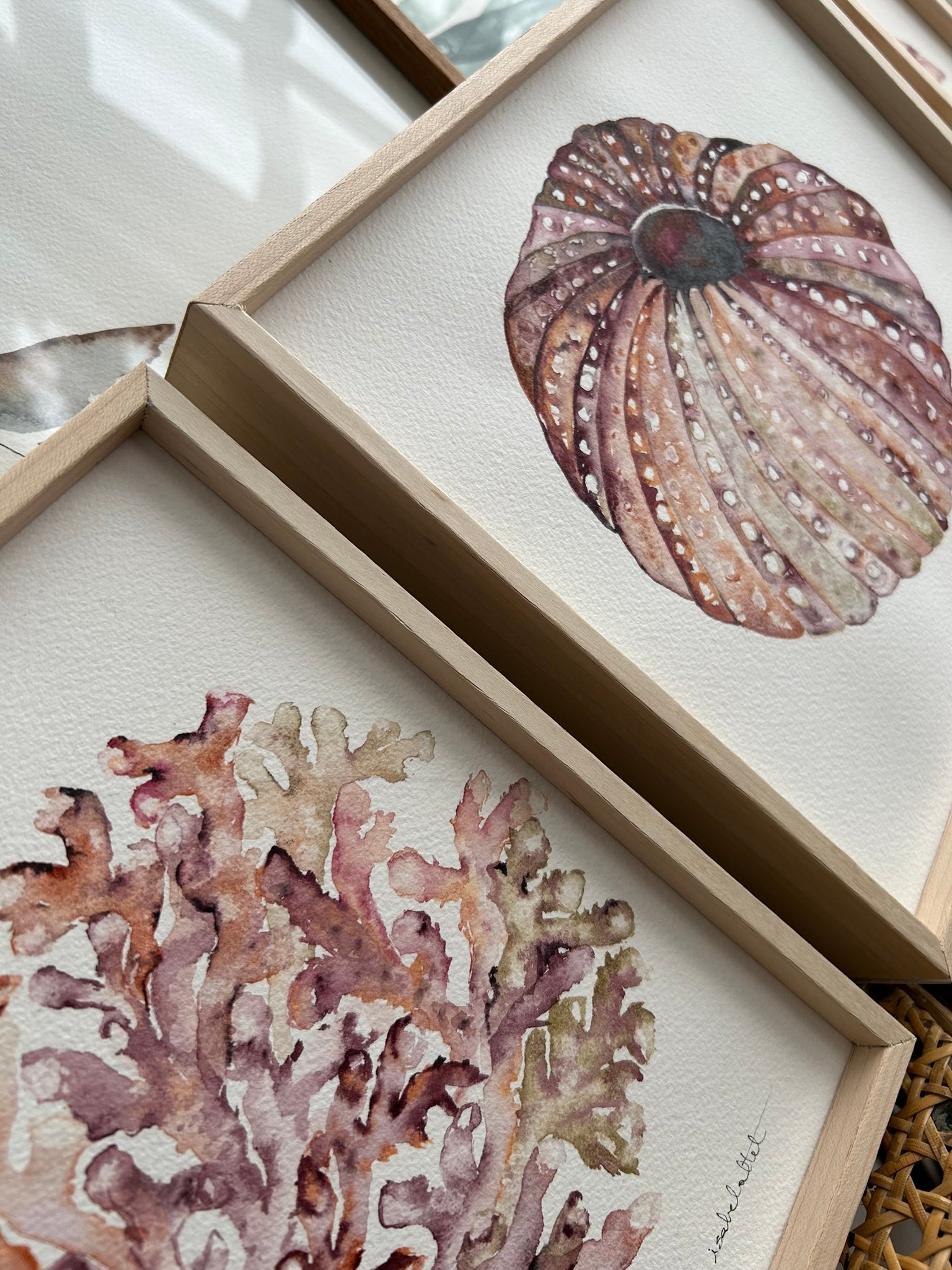 Pareja de cuadros pintados a mano de motivos marinos, un coral y un erizo, pensados para decorar rincones con encanto, baños, salones o dormitorios de apartamentos de playa