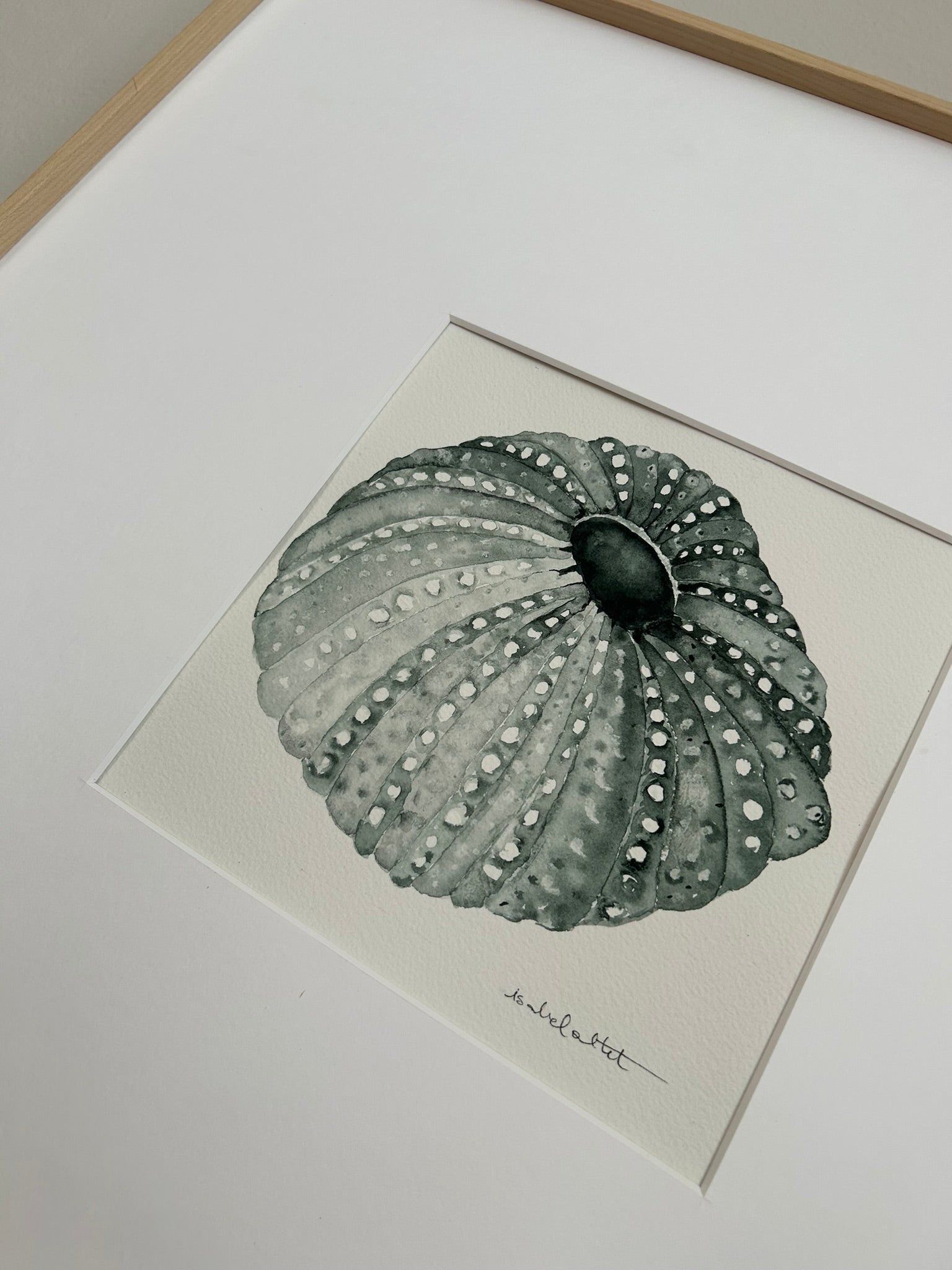 Detalle cuadro decorativo de erizo de mar pintado a mano con acuarela, estilo mediterráneo, para salón, comedor o dormitorio de apartamento o casa de playa