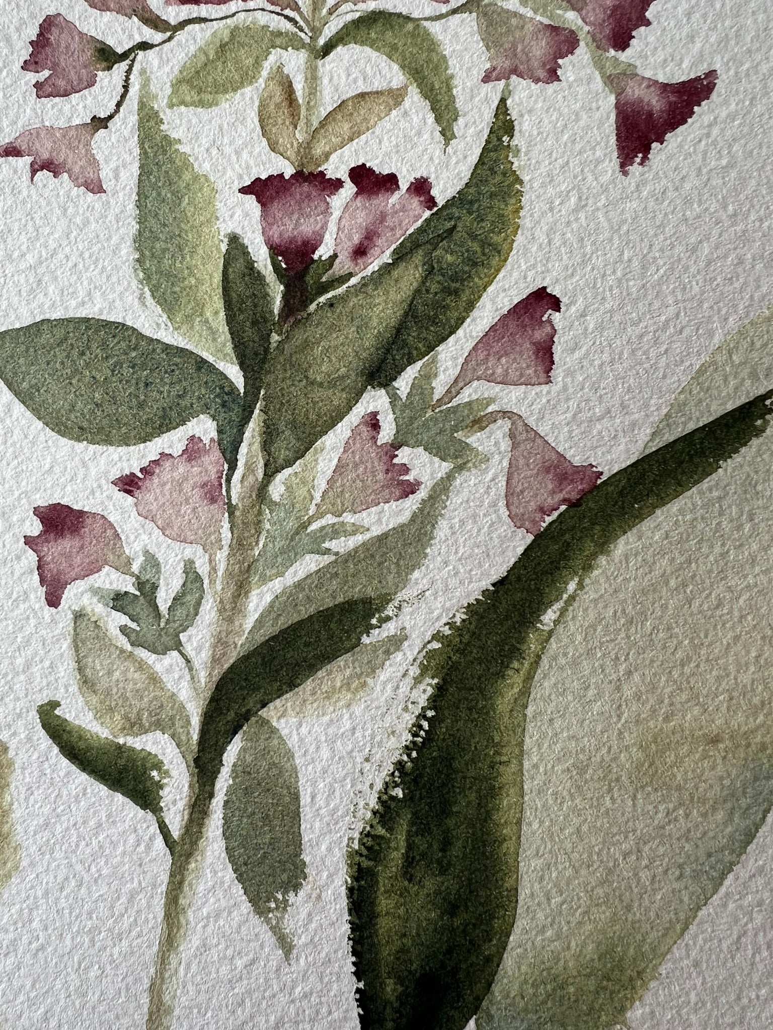 Detalle rugosidad papel y dibujo botánico de Isabel Altet, pintado a mano, obra original y única