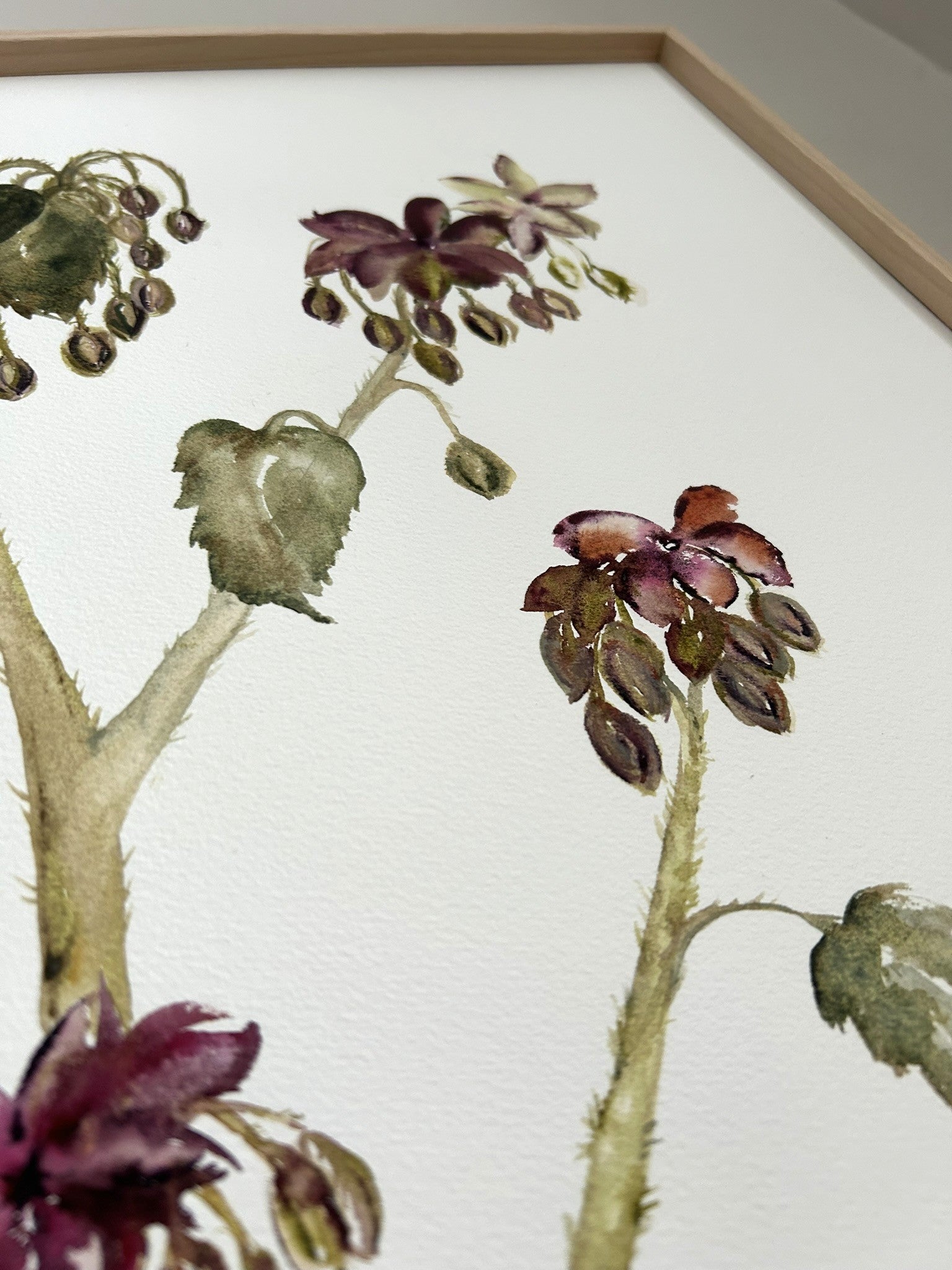 Dibujo botánico de flores silvestres, color vino, para decorar casas rústicas. Cuadro original pintado a mano por la artista Isabel Altet
