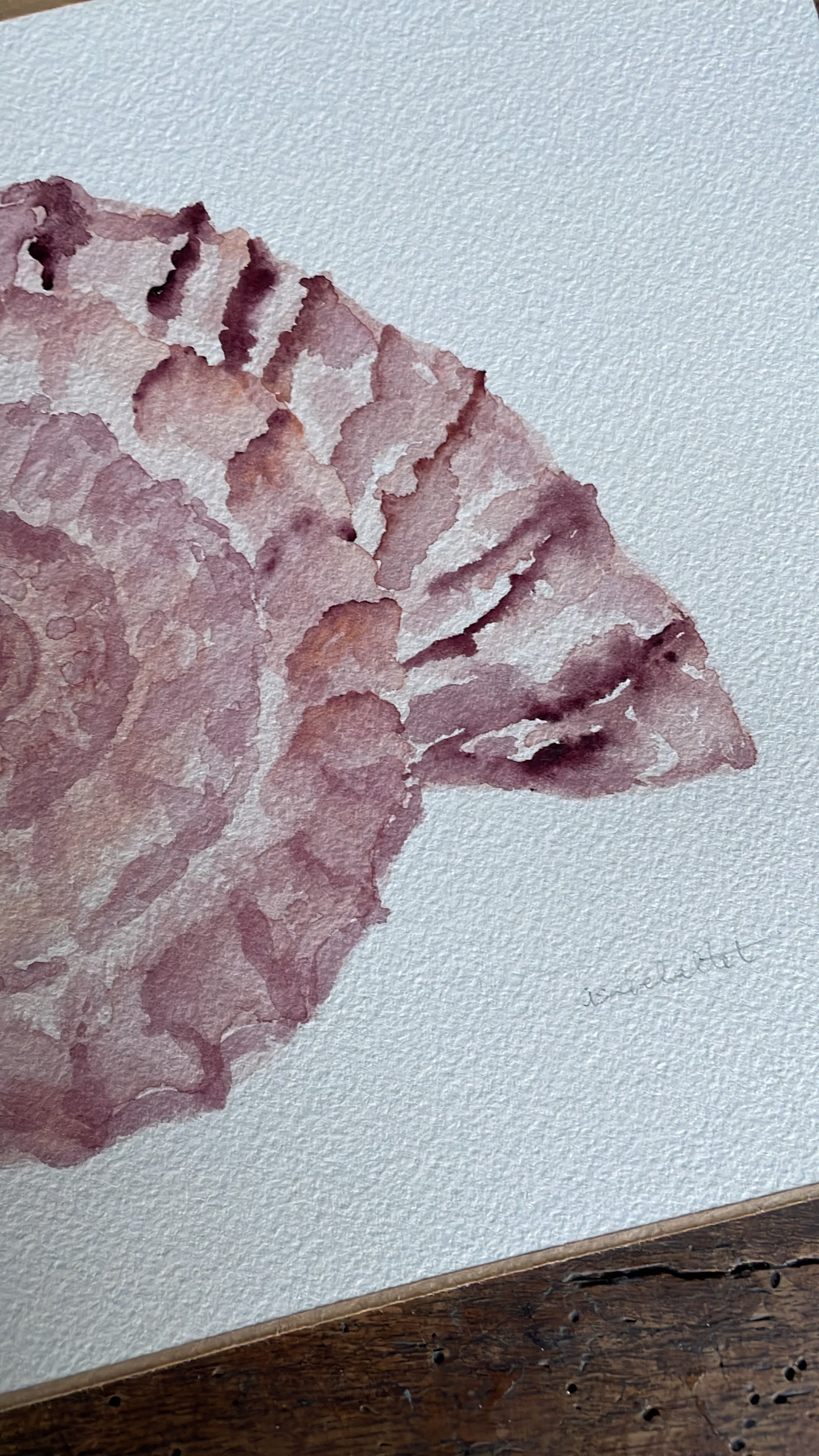 Detalle dibujo caracola de mar pintada en acuarela en tonos rosados para decorar dormitorio de un apartamento de playa