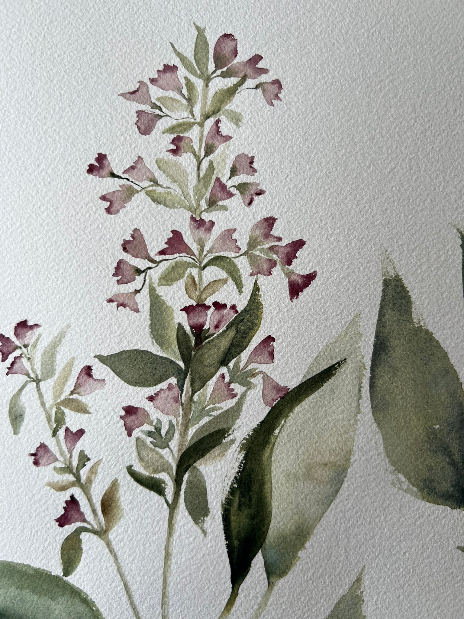 Detalle flores cuadro botánico, en tonos rosas y verdes, obra única pensada para decorar el salón o el dormitorio