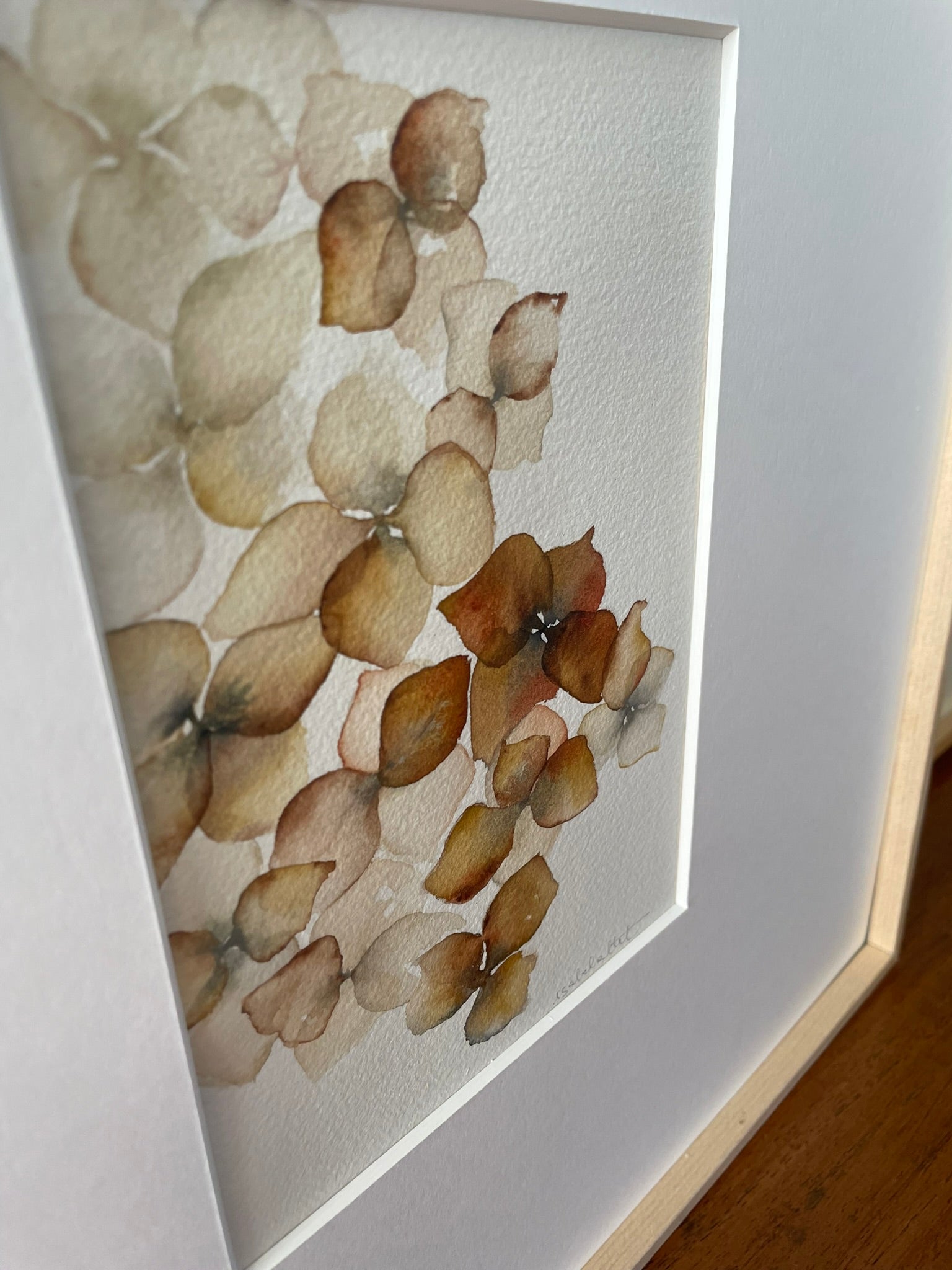 Detalle textura dibujo de pétalos de hortensia de Isabel Altet