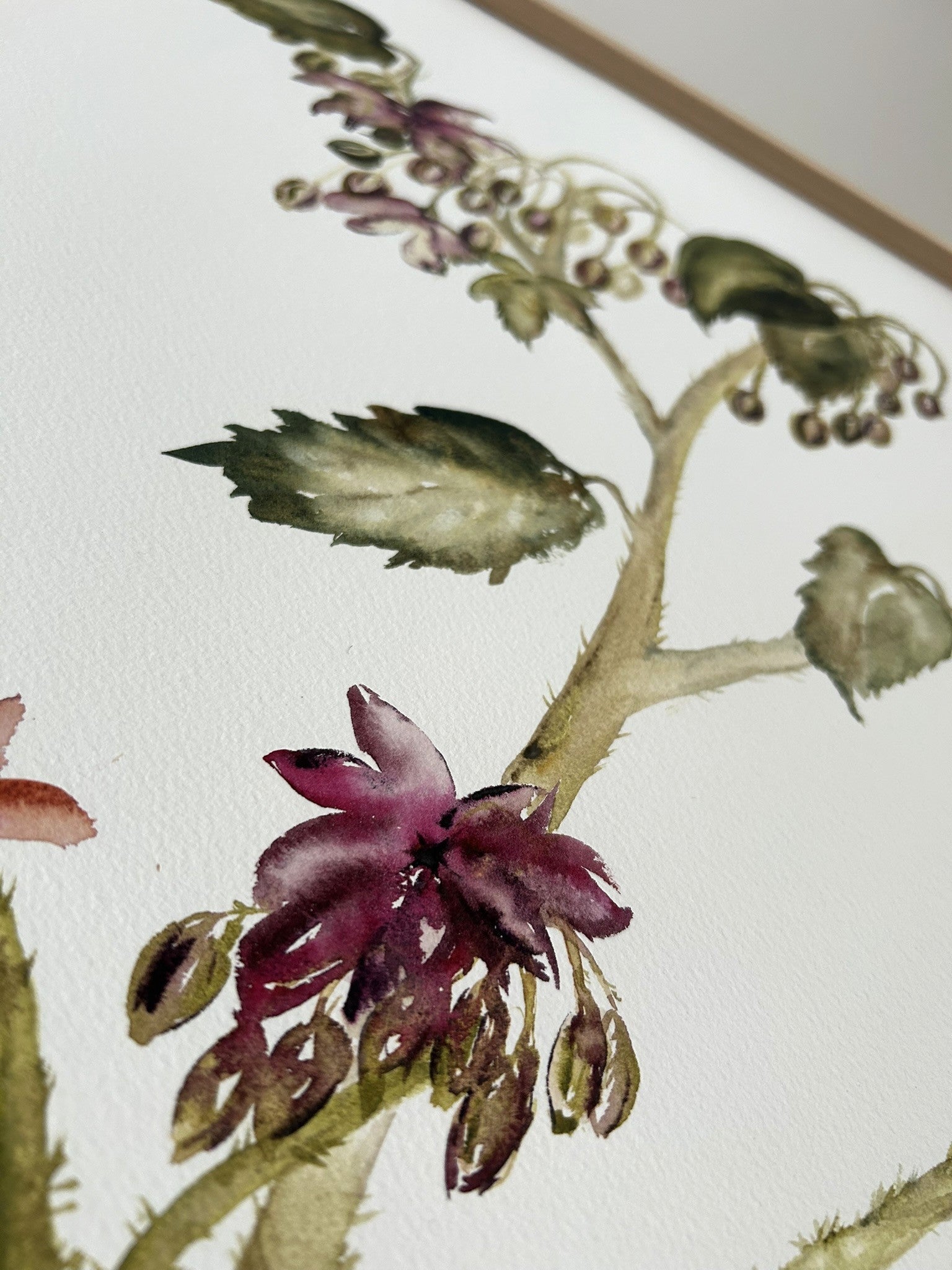 Detalle dibujo botánico, flor en tonos vino, flor silvestre, pintada a mano. Obra original para decorar dormitorio o salón, elaborada por Isabel Altet