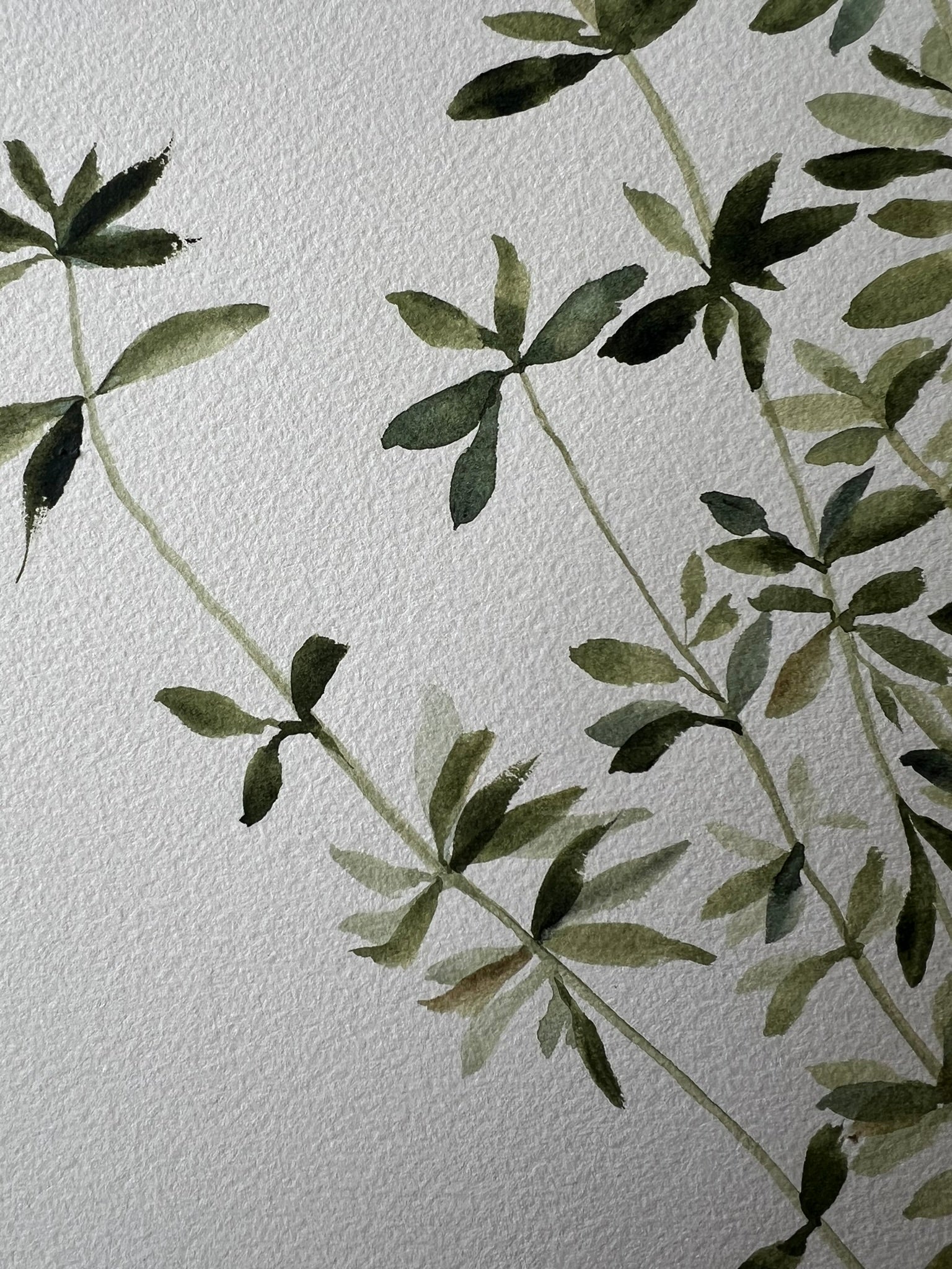 Detalle rugosidad papel de algodón 100% con dibujo botánico en tonos verdes de la artista Isabel Altet