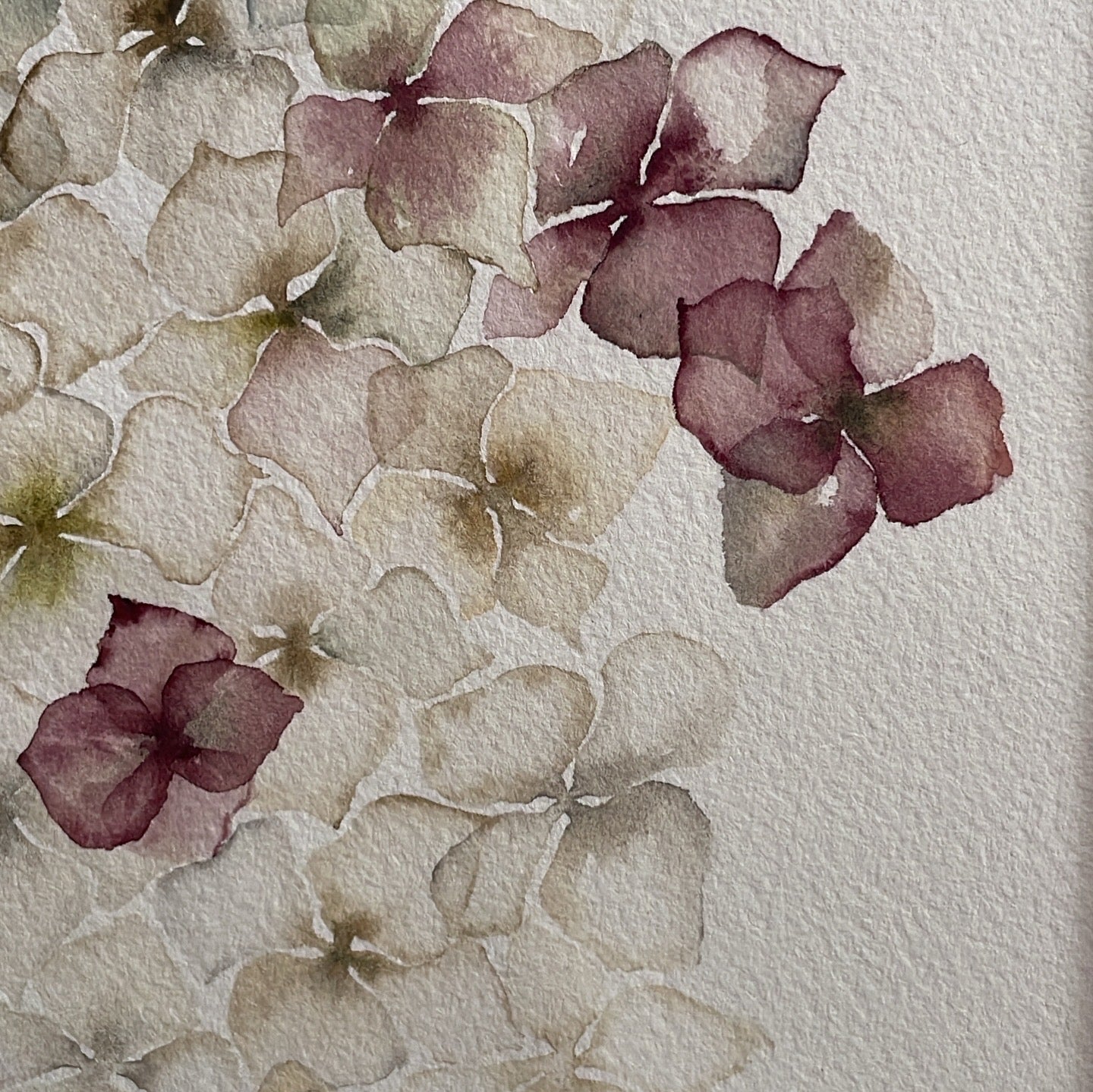 Detalle textura papel y dibujo en acuarela de Isabel Altet de la colección Bloom
