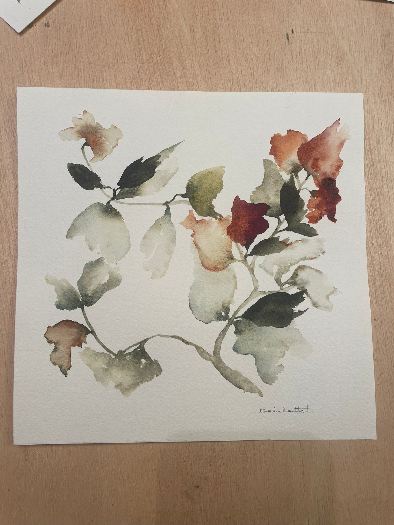 Dibujo original de Isabel Altet, pintado con acuarela, de motivos botánicos florales. Colores: salmón, verdes, granate y rosa empolvado