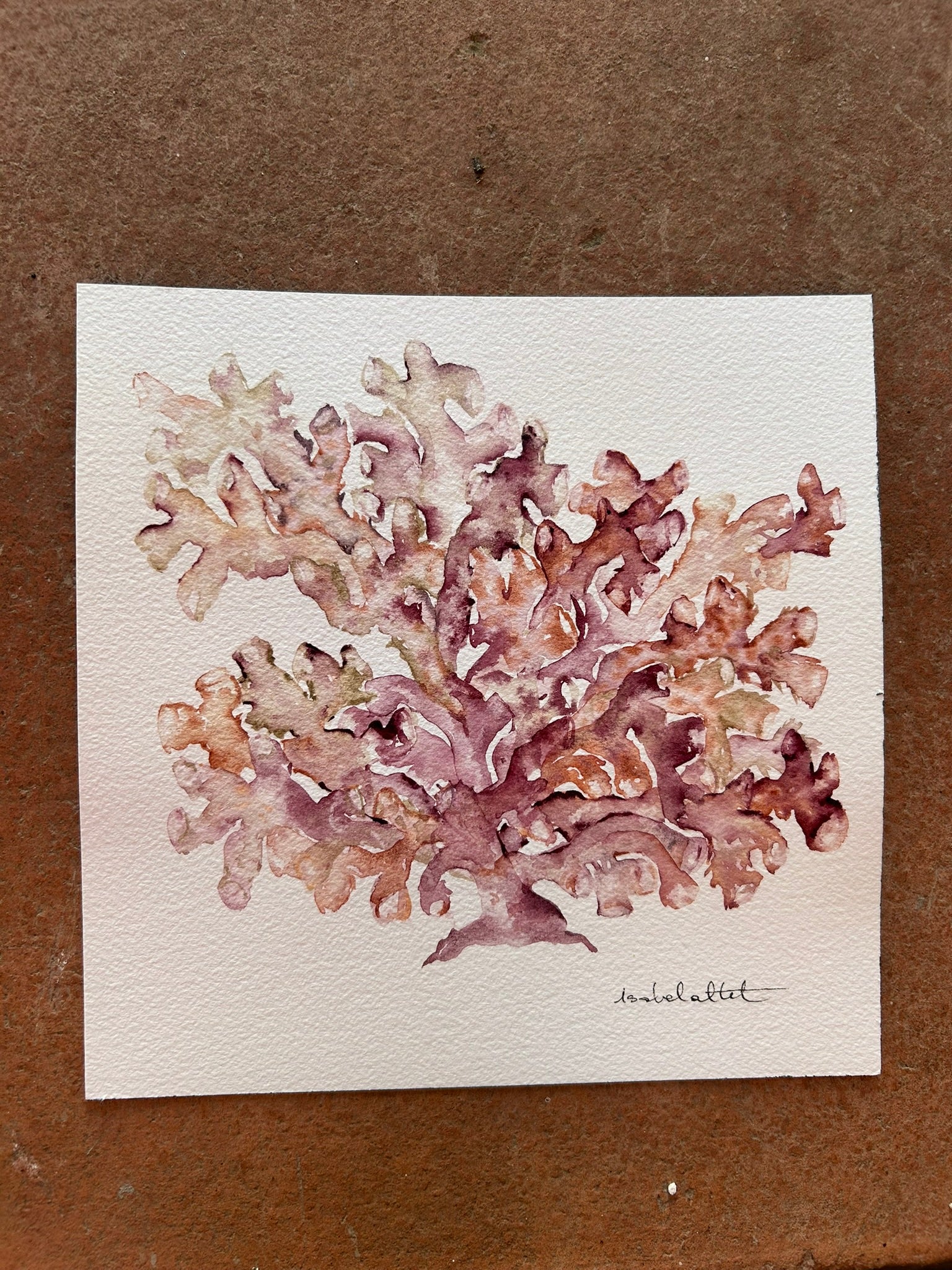 Dibujo coral marino en tonos rosados para apartamento de playa. Pintado en acuarela por artista Isabel Altet