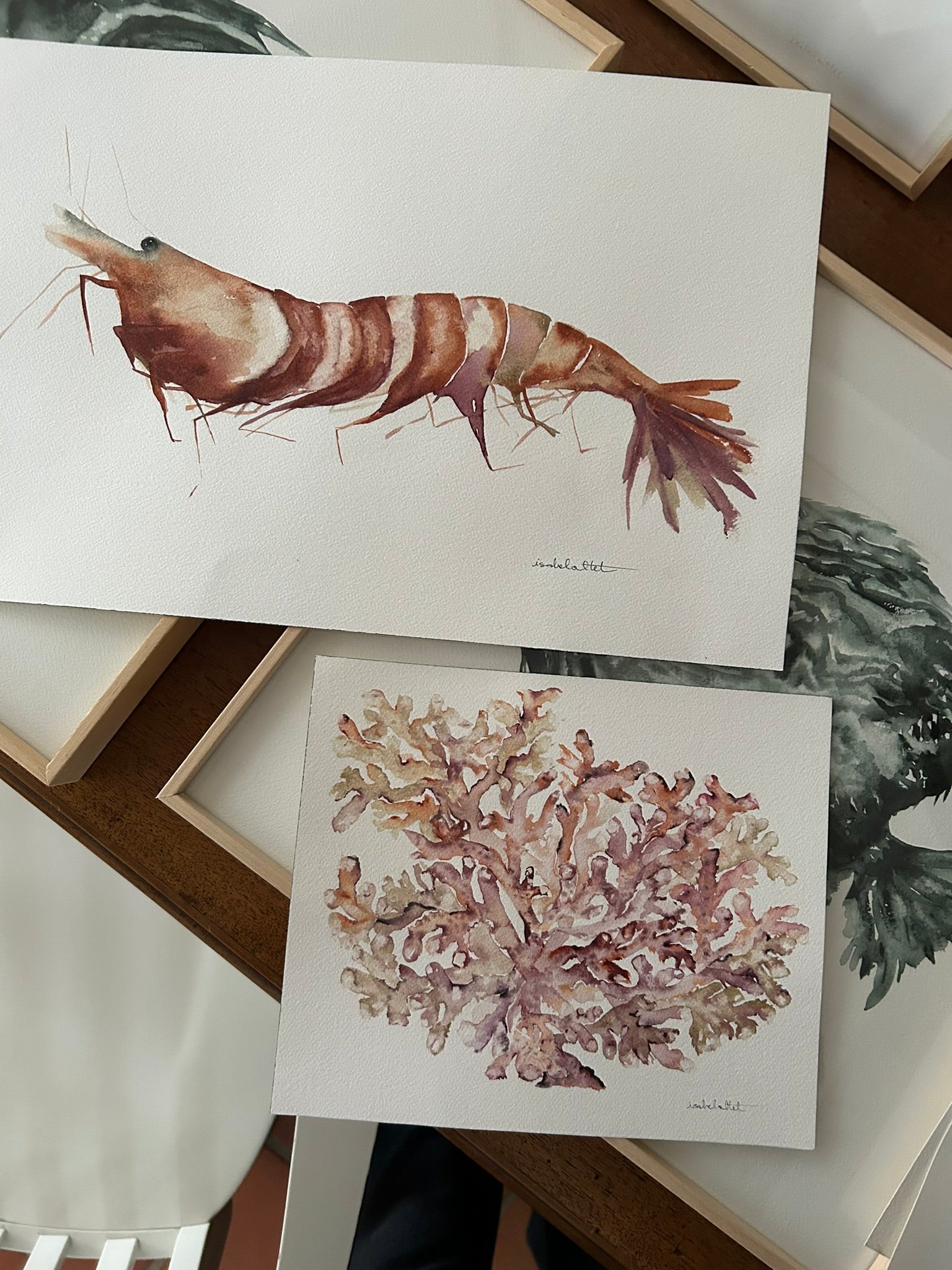 Dibujos de un coral y una langosta para decorar un apartamento de playa o costa de manera única y original