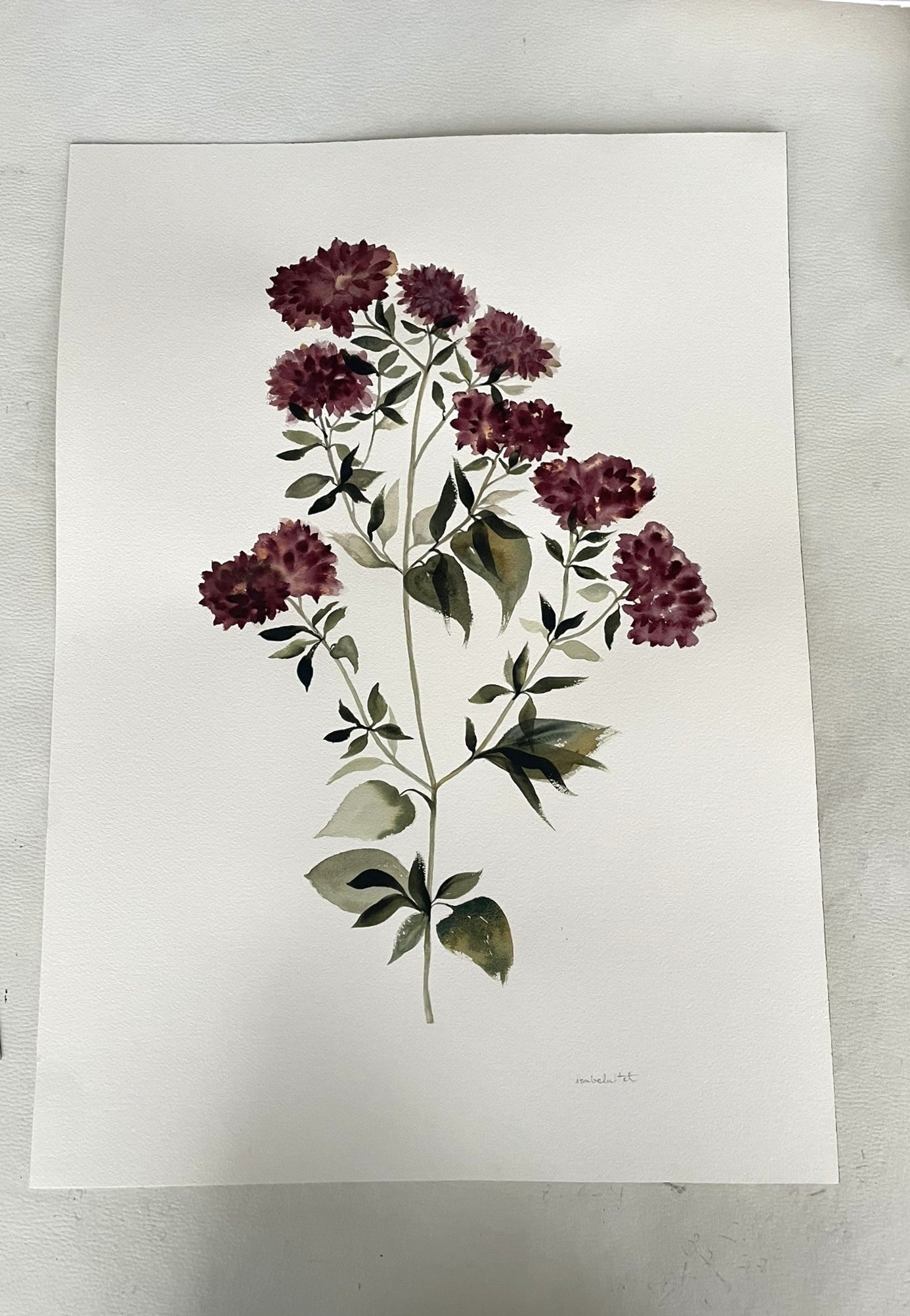 Dibujo botánico de flores con tonos burdeos, granate o borgoña. Pensado para decorar dormitorio, salón o entrada de casa