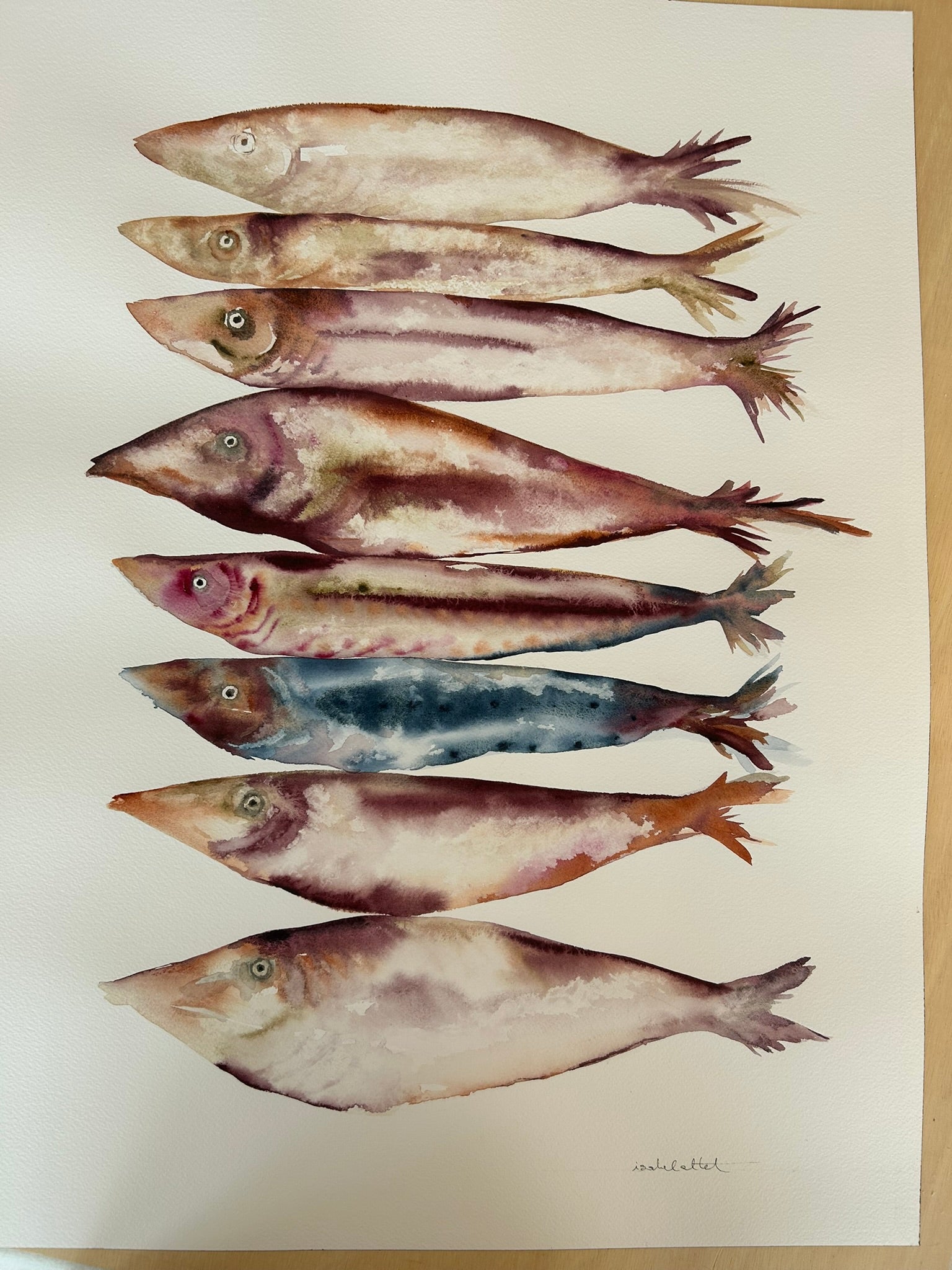 Dibujo peces de colores pintados a mano en acuarela por Isabel Altet