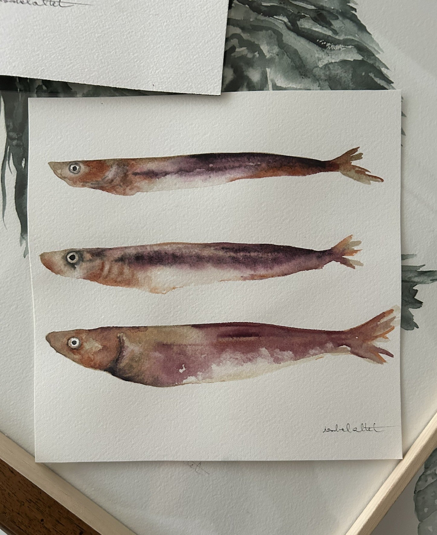 Dibujo 3 sardinas pintadas en acuarela en tonos rosados, pintado a mano por Isabel Altet