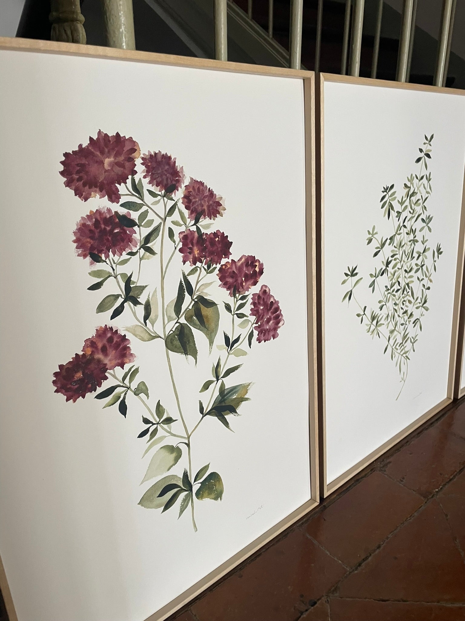Pareja de cuadros decorativos botánicos para decorar rincones con encanto. Obra original pintada en acuarela por Isabel Altet