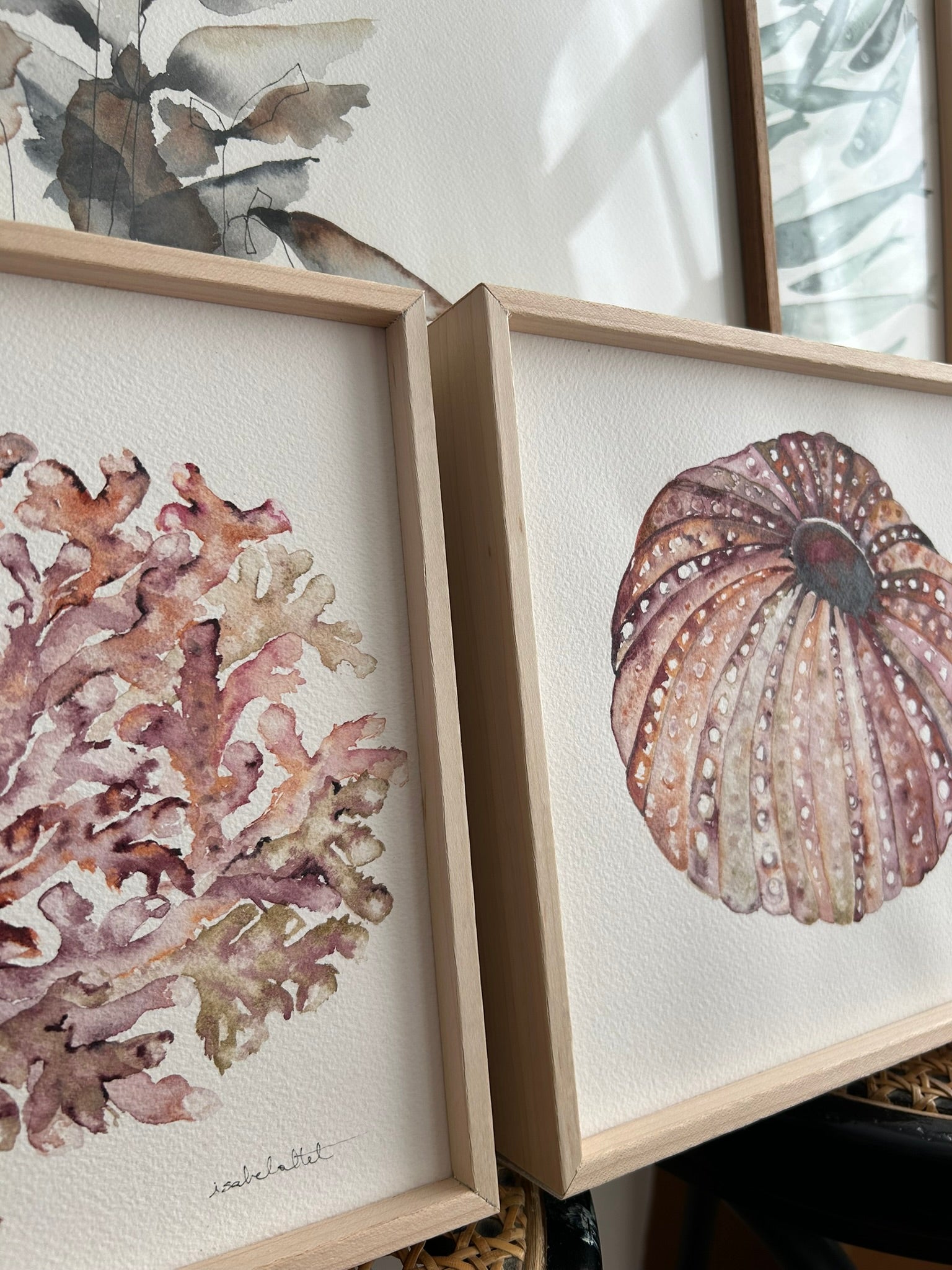 Lateral de pareja de cuadros con motivos marinos, erizo y coral, en tonos rosa, pintados a mano, ideal para apartamento de playa
