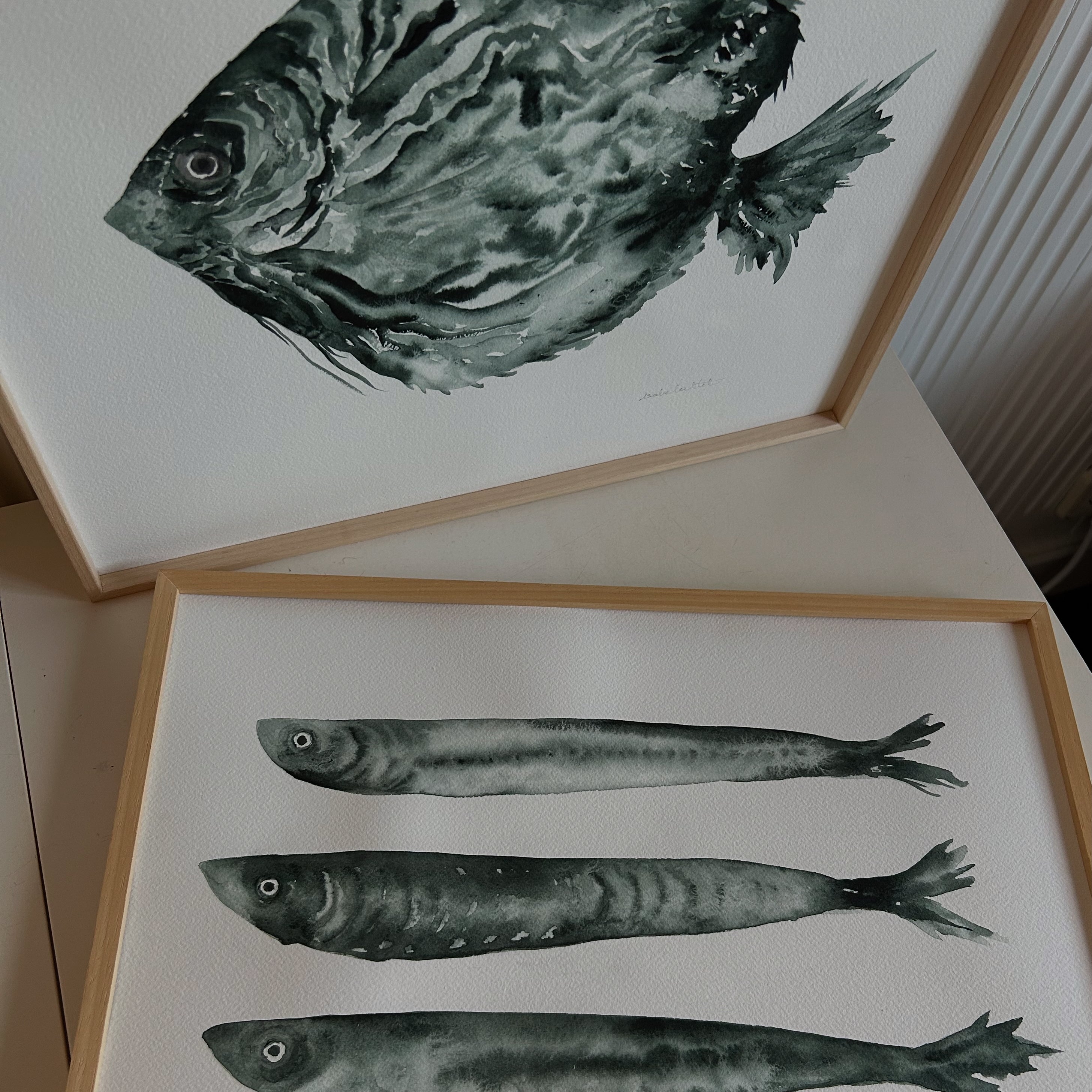 Detalle cuadro de 3 sardinas originales, obra de Isabel Altet