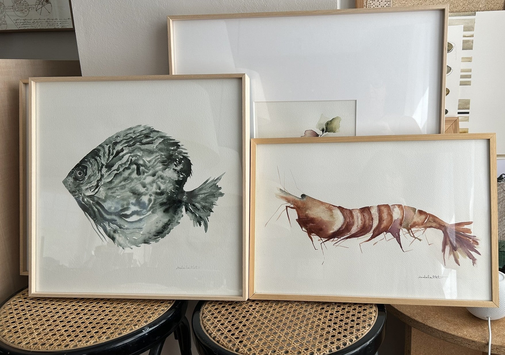 Pareja de cuadros para apartamento de playa. Langosta en tonos rosados rojizos y pez marino en tonos azules. Diferentes tamaños.