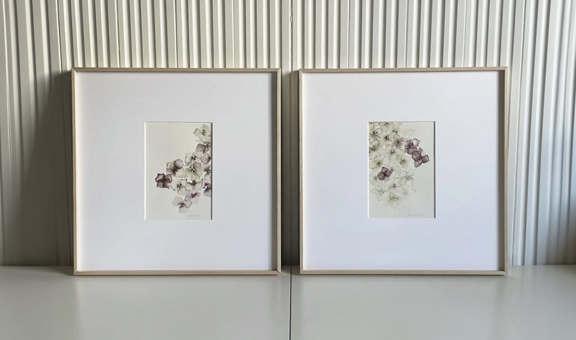 Pareja de cuadros de la colección Bloom, son flores de hortensia en tonos rosados, beige y verdes muy suave