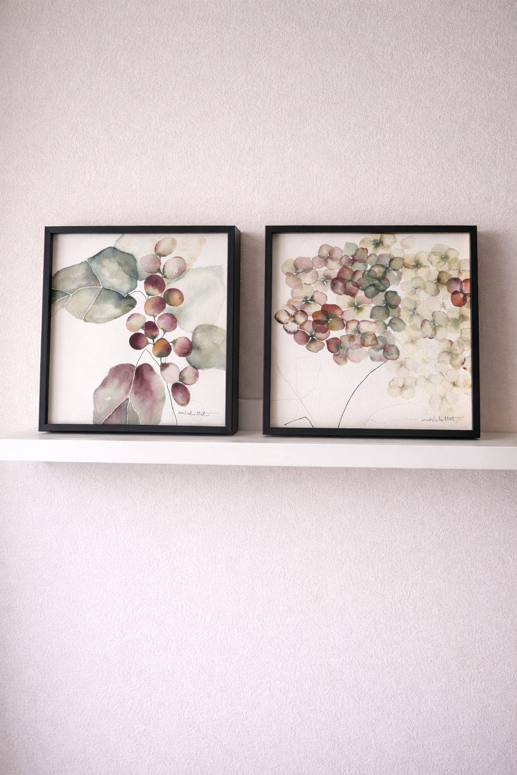 Pareja de cuadros botánicos silvestres en una estantería. Enmarcados en negro. Pensados para decorar estantes, rincones con encanto o baños. Obra original de Isabel Altet