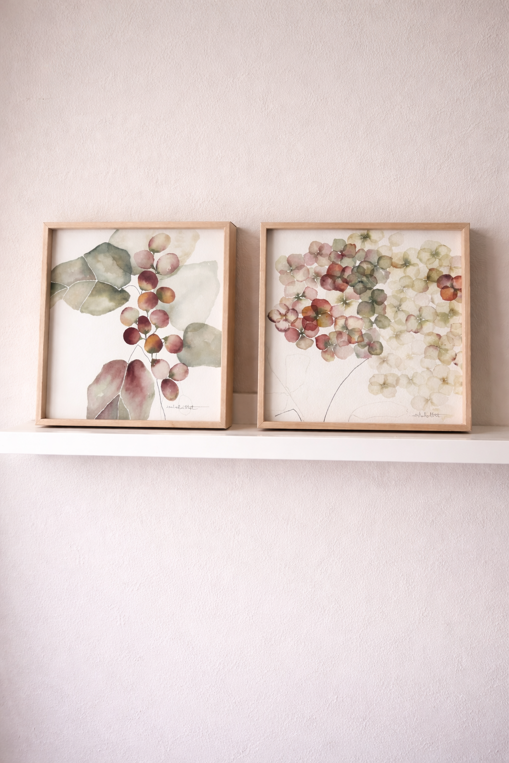 Pareja de cuadros botánicos silvestres en una estantería. Pensados para decorar estantes, rincones con encanto o baños. Obra original de Isabel Altet