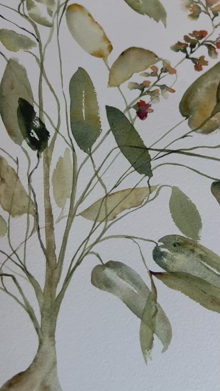 Video detalle de la pintura botánica, se ven todos los colores usados, los trazos de la acuarela y los detalles de las flores